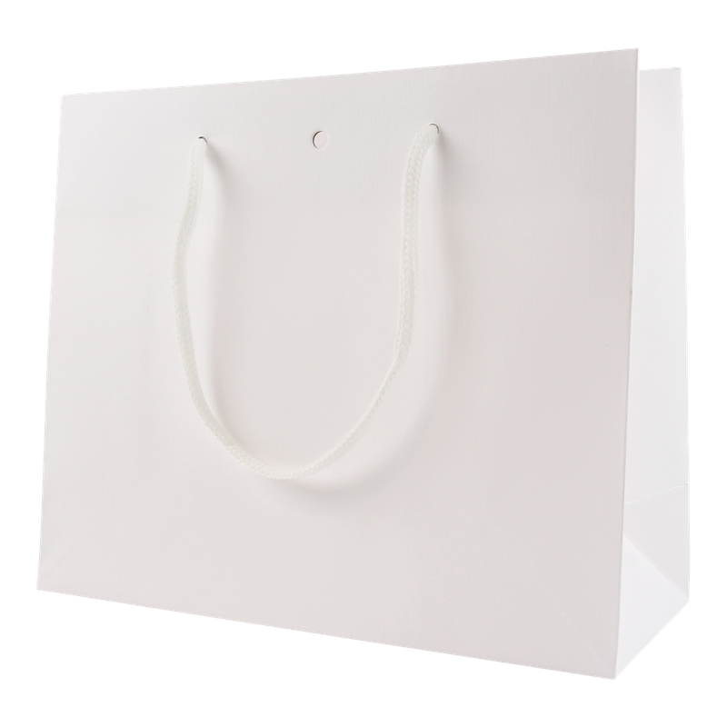 Draagtas Luxe karton 30+(2x6)x25cm Mat Wit 1