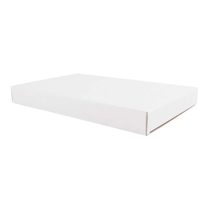Brievenbusdoos A5 255x160x28mm Wit 1