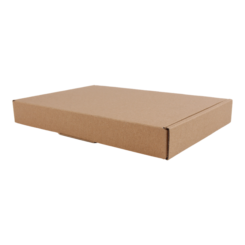 Brievenbusdoos A5 Golfkarton 220x155x27mm Bruin 1