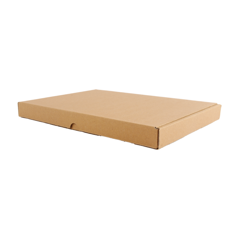 Brievenbusdoos A4 Golfkarton Light 310x220x27mm Bruin 1
