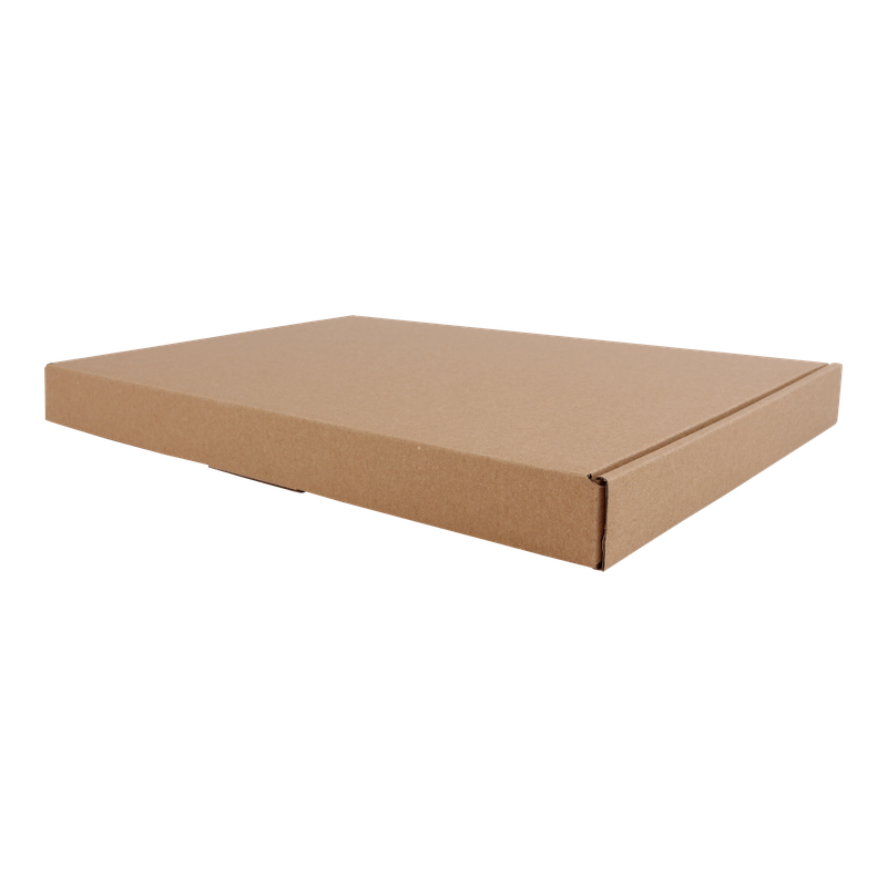 Brievenbusdoos A4 Golfkarton 310x220x27mm Bruin 1