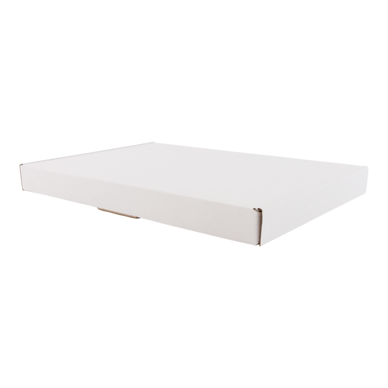 Brievenbusdoos A4 Golfkarton 310x220x27mm Wit 1