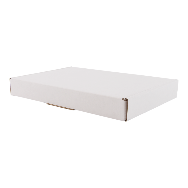 Brievenbusdoos A5 Golfkarton 220x155x28mm Wit 1