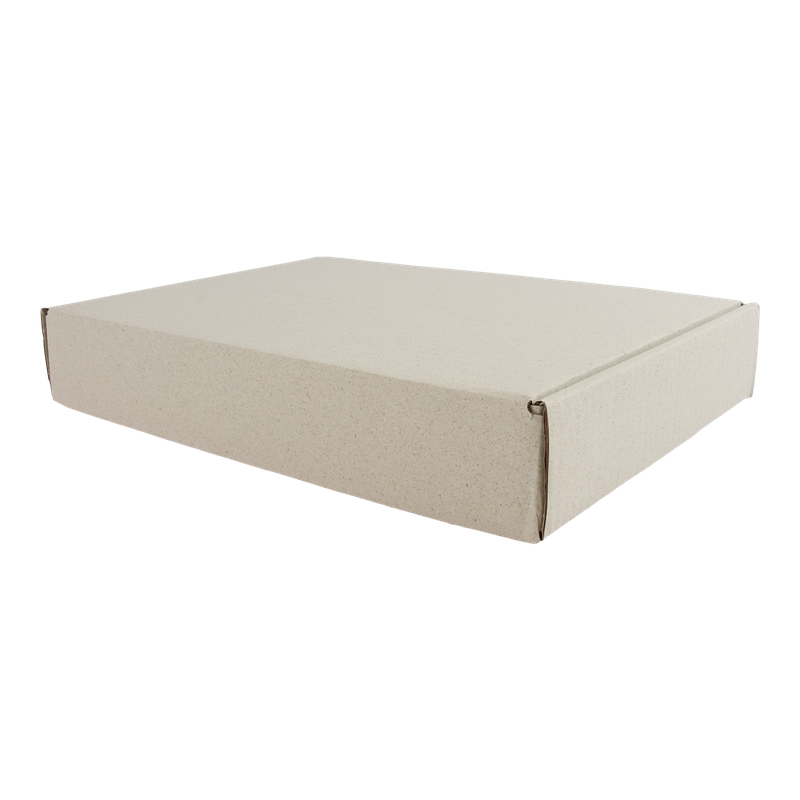 Verzenddoos Graskarton 300x220x50mm enkele golf Naturel 1
