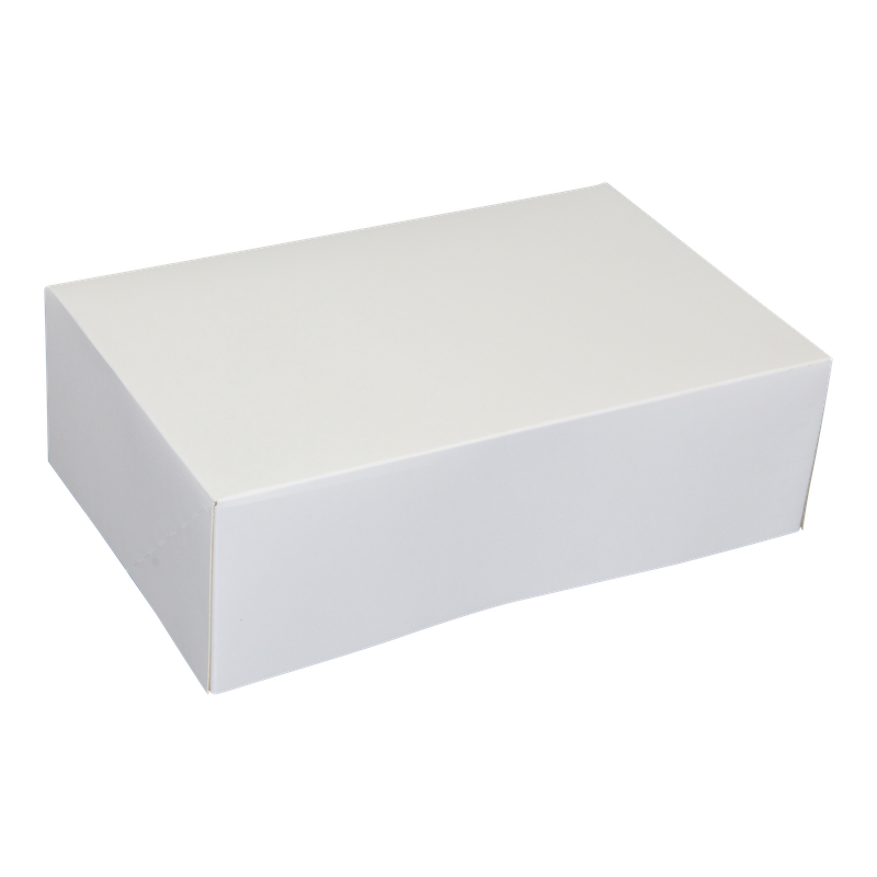Gebaksdoos 24x16x8cm Wit 1
