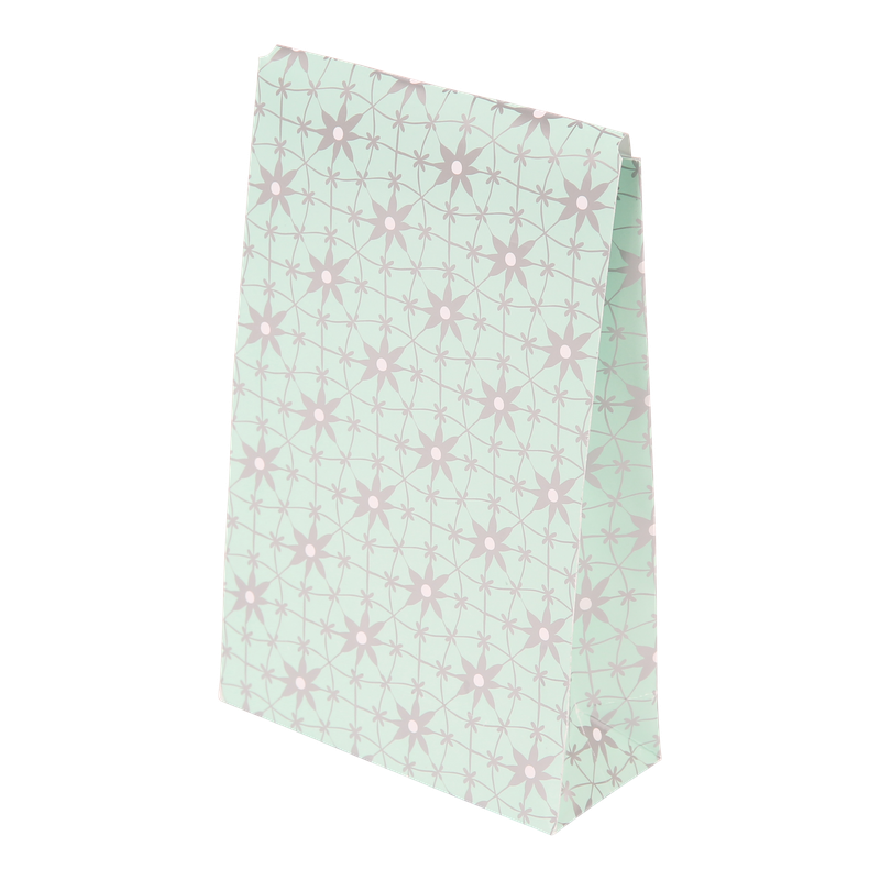 Luxe cadeauzakje Staand 100+(2x20)x157mm Mint groen 1