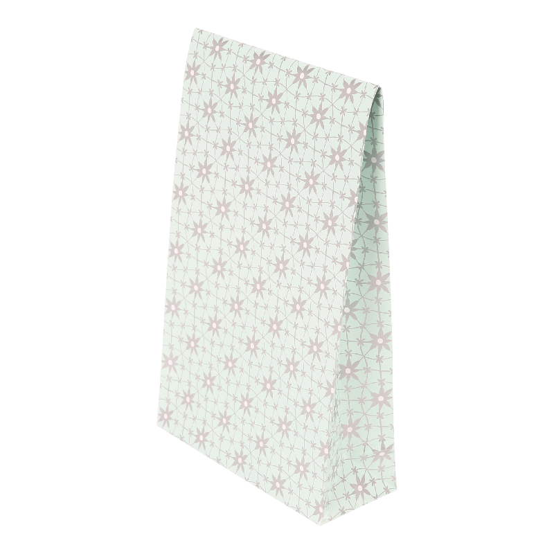 Luxe cadeauzakje Staand 140+(2x27,5)x230mm Mint groen 1