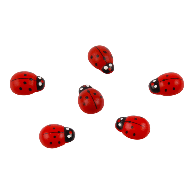 Plakker Lieveheersbeestje Rood 1