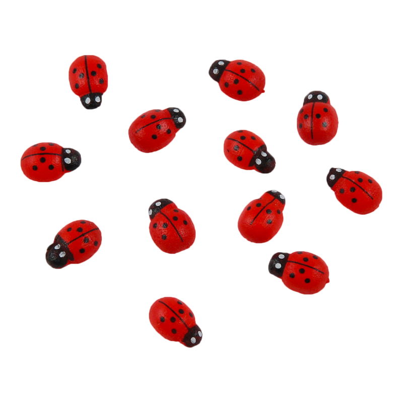 Plakker Lieveheersbeestje Rood 1
