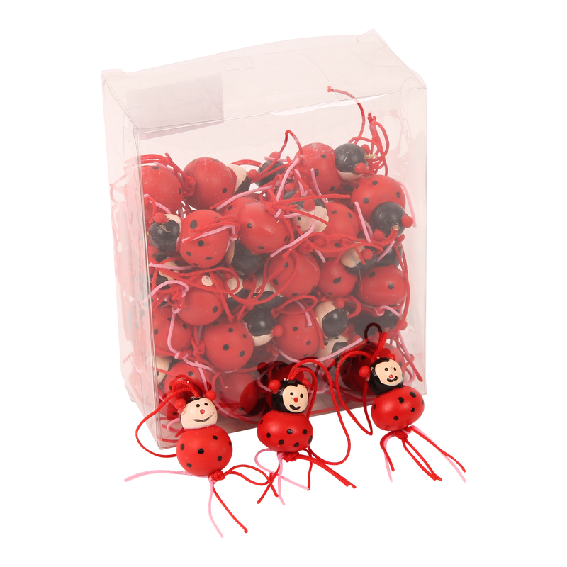 Gelukspoppetje Lieveheersbeesje 1