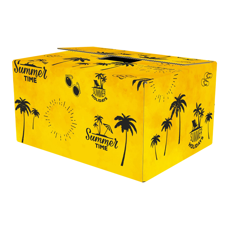 Cadeaudoos 31x20x14cm Summertime Geel 1