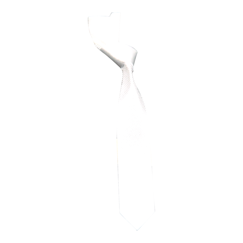 Plakker Stropdas Zilver 1