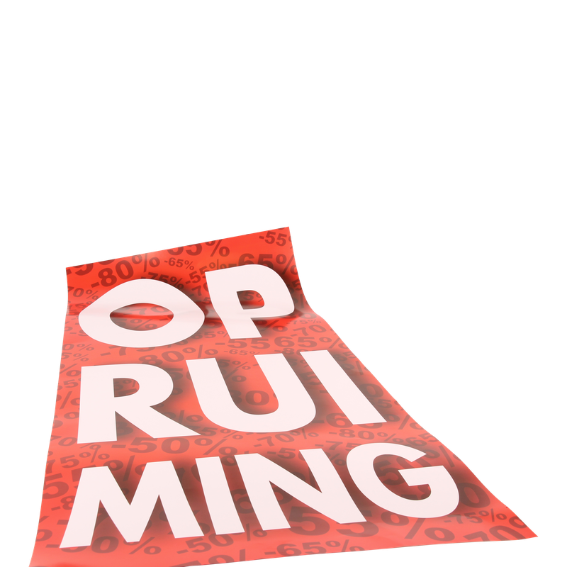 Raambiljet 50x94cm Opruiming 1