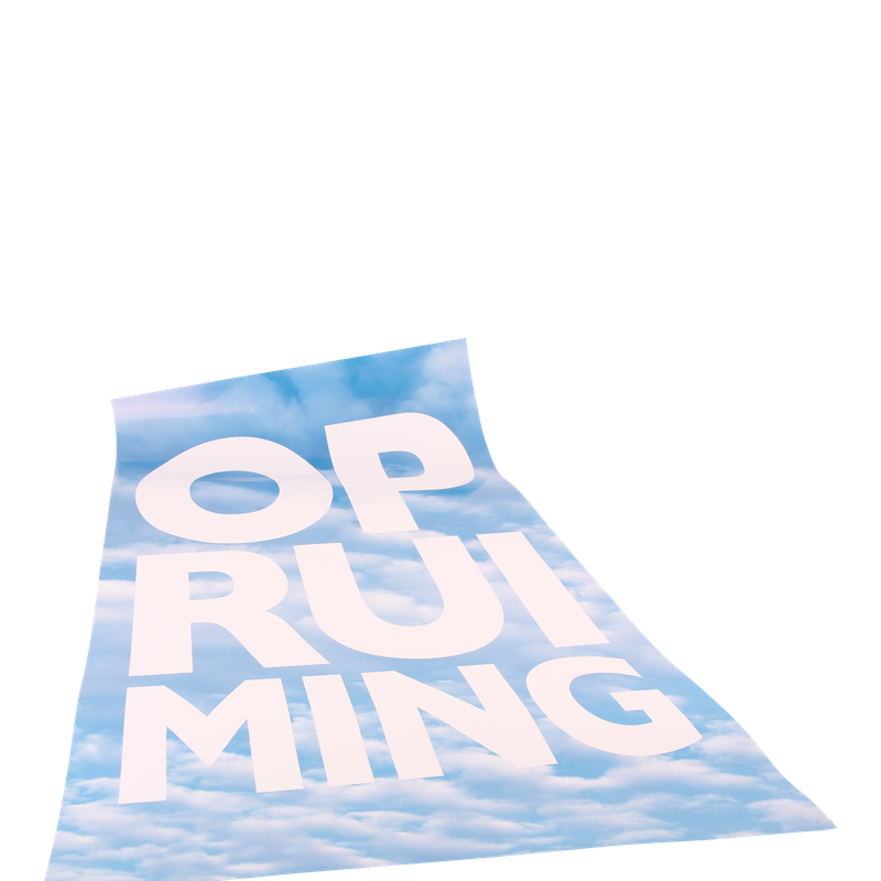 Raambiljet 50x94cm Opruiming 1
