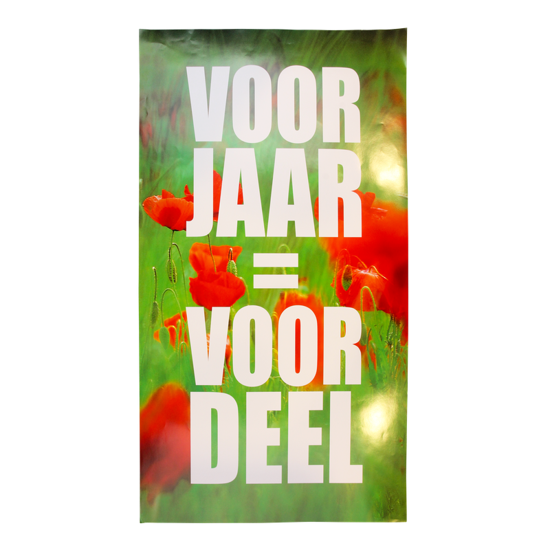 Raambiljet 50x94cm Voorjaar voordeel 1