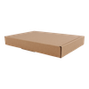 Brievenbusdoos A5 Golfkarton 220x155x27mm Bruin